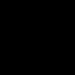 Meet your Posher, Dani